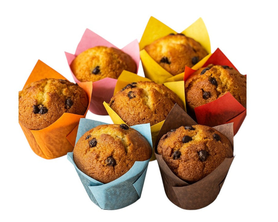 Muffin Tulips Multi-Colours