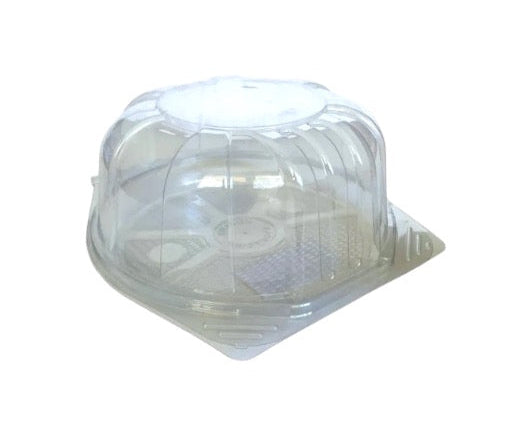 6x3" Deep Sponge Container with Hinge Lid (240 per case)
