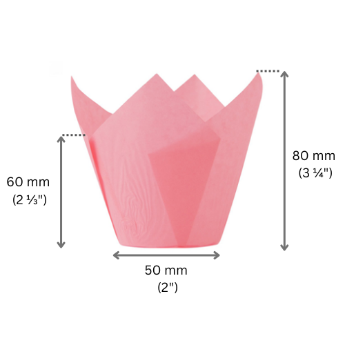 Muffin Tulips Multi-Colours